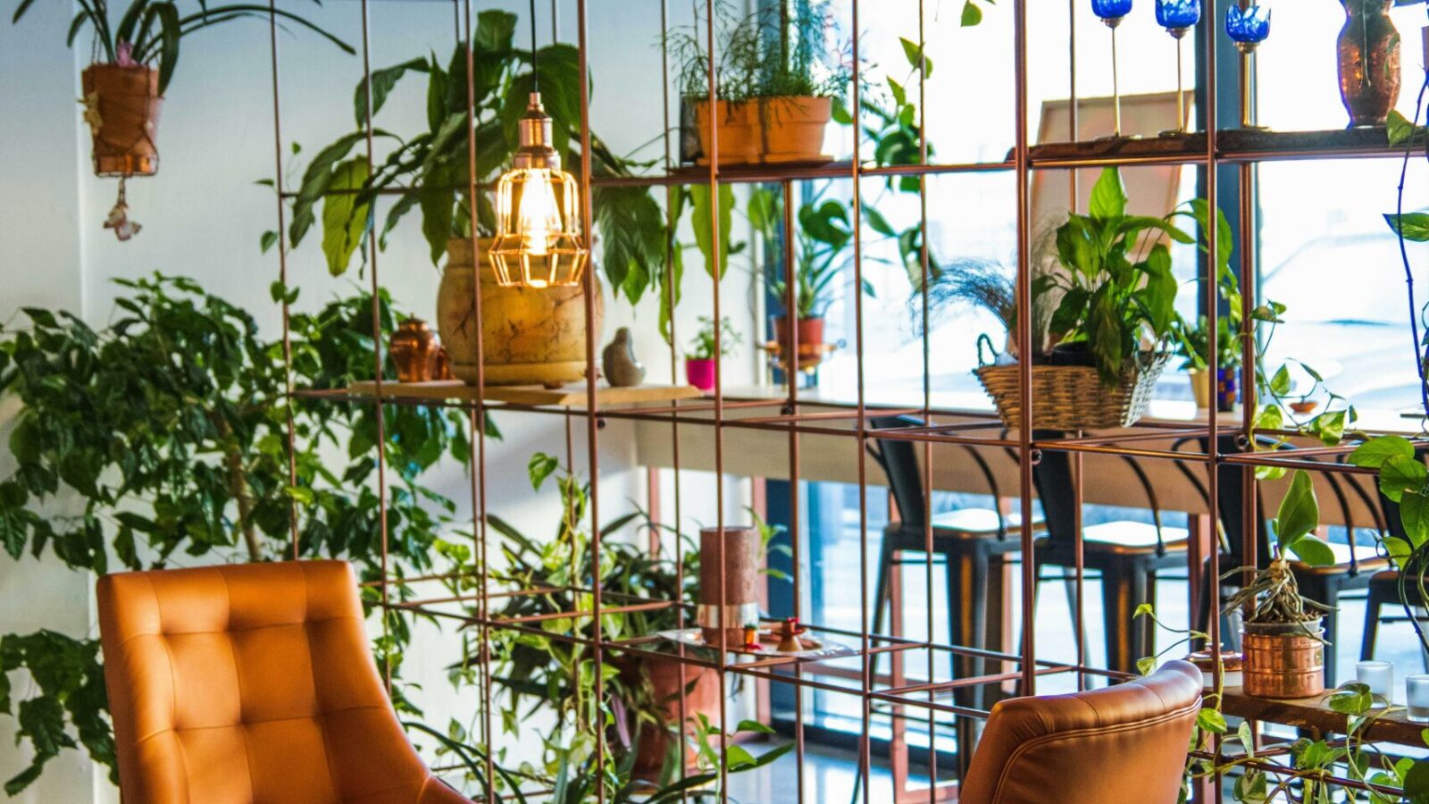 Firmano una casa che celebra la luce naturale e il contemporaneo scenario naturale